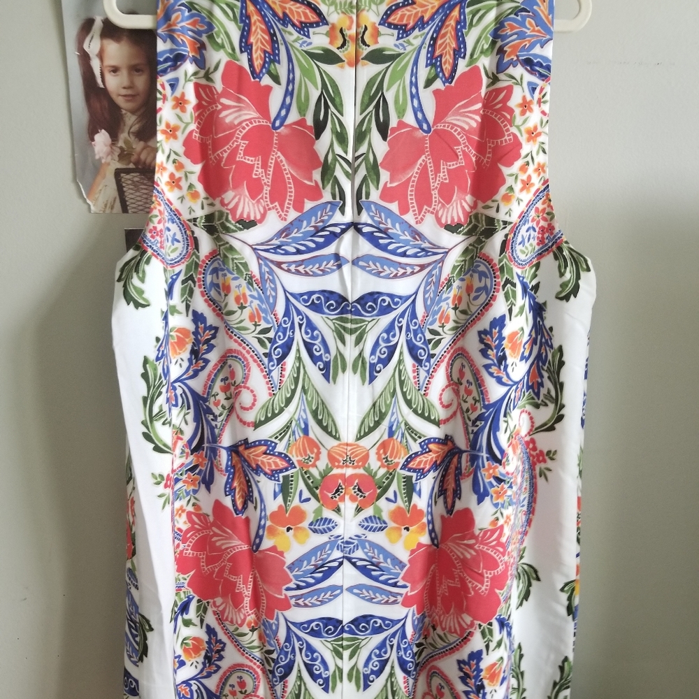 Dress...2x - Picture 2 of 3